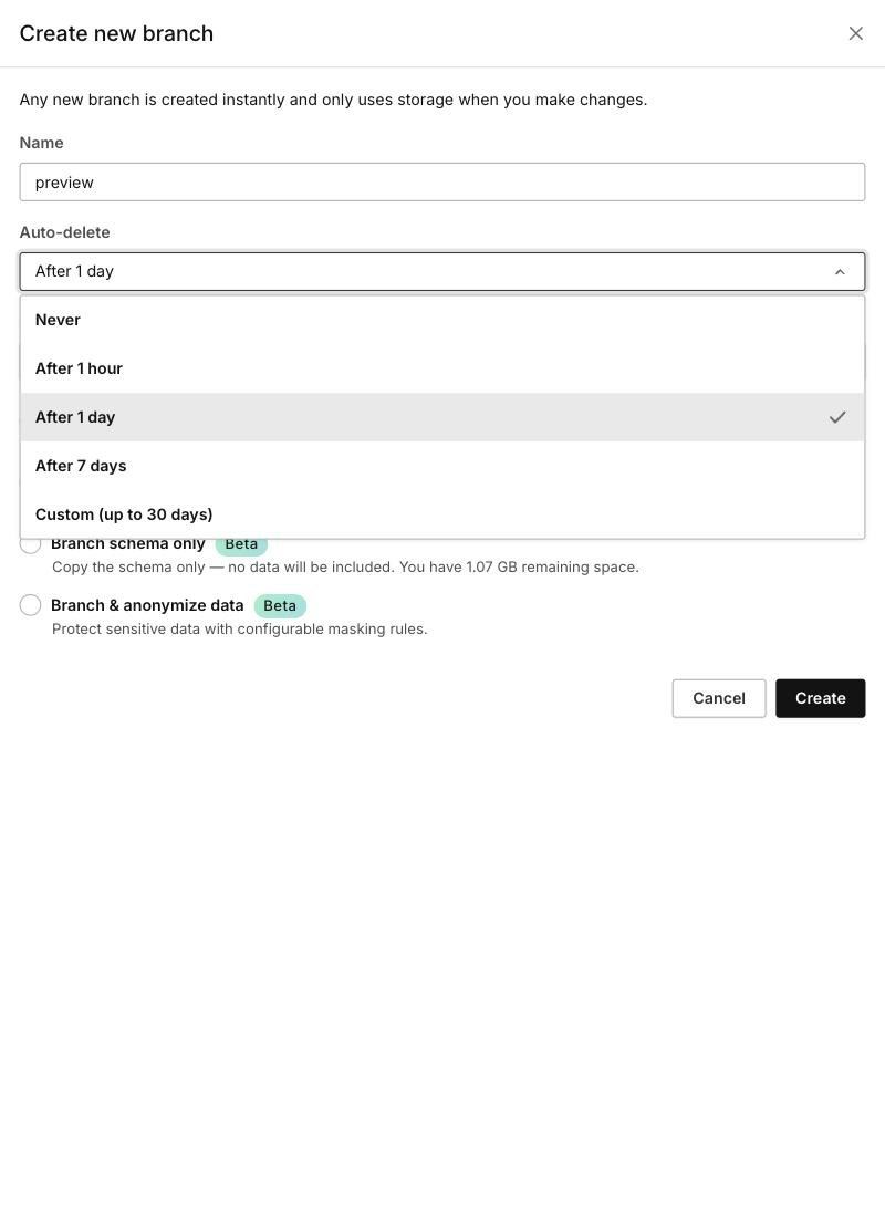 Auto-delete 下拉：Never、After 1 hour、After 1 day、After 7 days、Custom